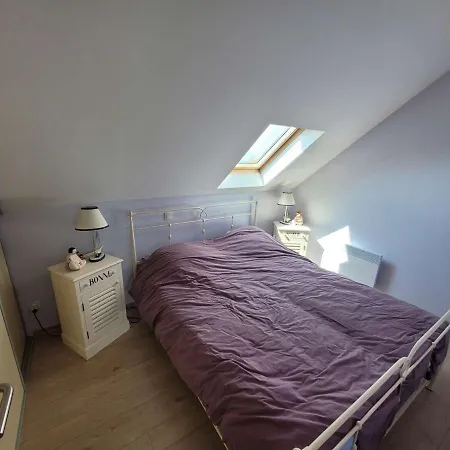 Duplex 2 Avec Parking Et Animaux Admis - Fr-1-675-22