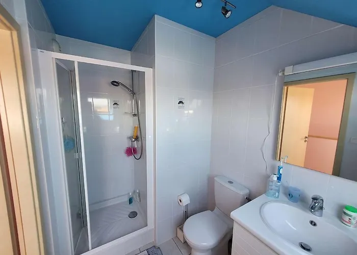 Appartement Duplex 2 Avec Parking Et Animaux Admis - Fr-1-675-22