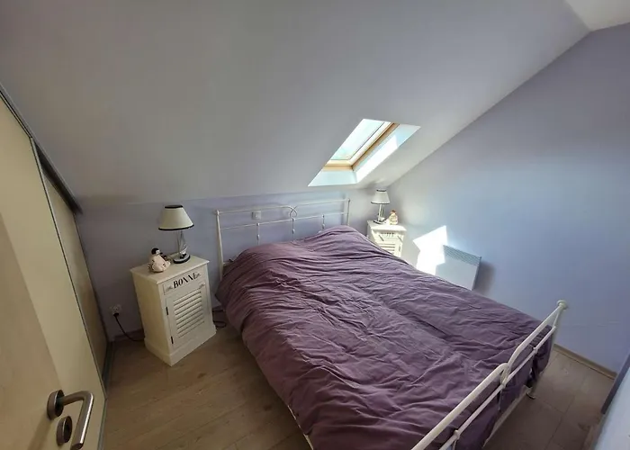 Duplex 2 Avec Parking Et Animaux Admis - Fr-1-675-22